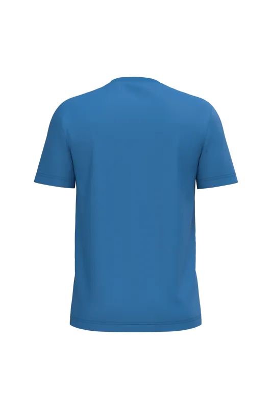 Heren T-shirt Bio150 IC in Light Royal Blue, achterkant