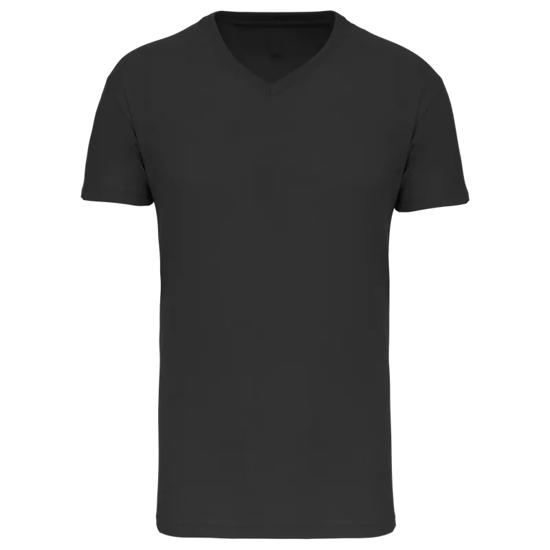 Heren-T-shirt BIO150 IC V-hals in Black