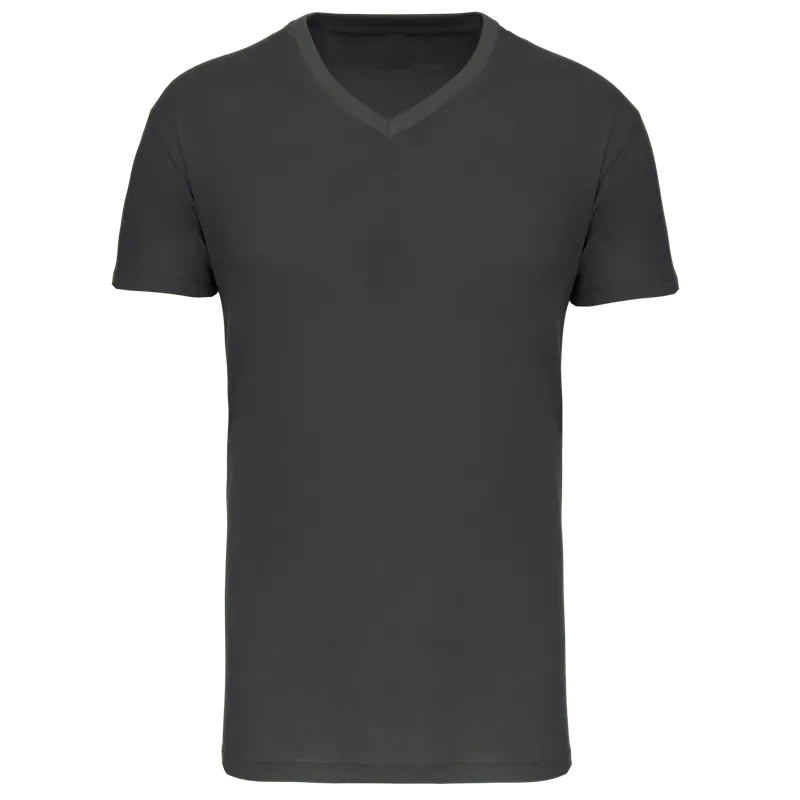 Heren-T-shirt BIO150 IC V-hals in Dark Grey