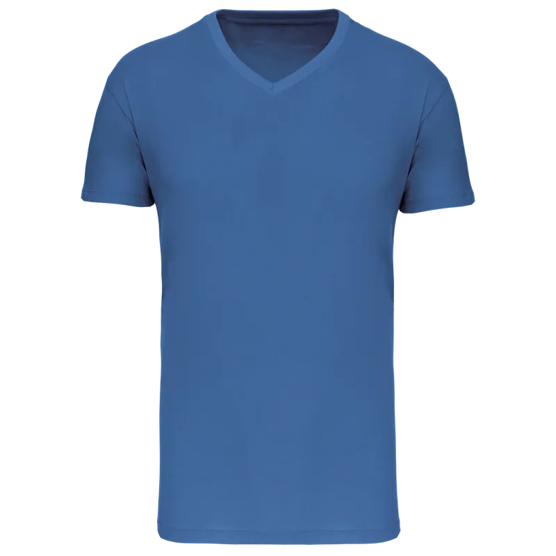 Heren-T-shirt BIO150 IC V-hals in Light Royal Blue