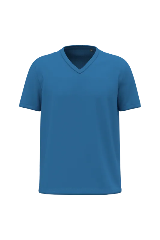 Heren-T-shirt BIO150 V-hals in Light Royal Blue