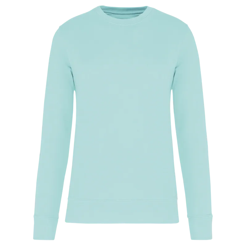 Ecologische sweater met ronde hals in Ice Mint