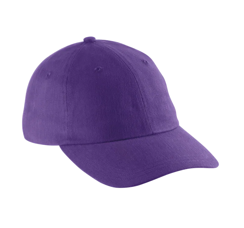 DAD CAP - 6 Panelen in Purple